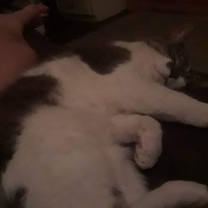 Meet your Posher, Kyla